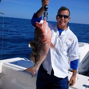 Meet your Posher, Harold